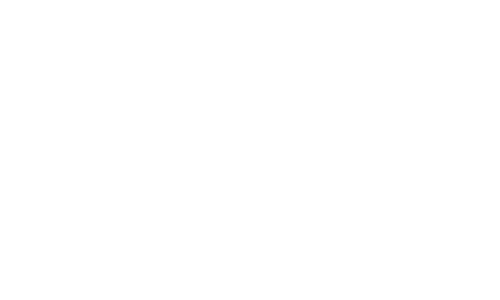 Bendt Bil